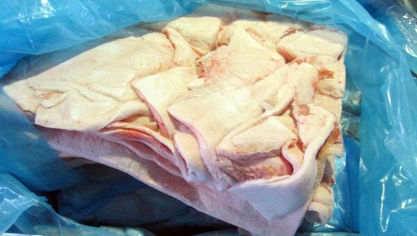 Сотрудники территориального Управления Россельхознадзора вернули в Латвийскую Республику более 20 тонн свиного шпика - Sputnik Латвия