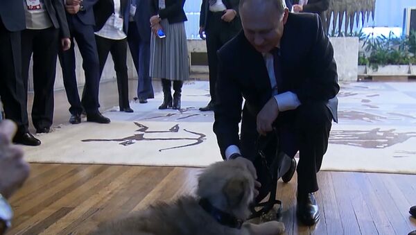 Путин получил в подарок щенка от президента Сербии - видео - Sputnik Латвия