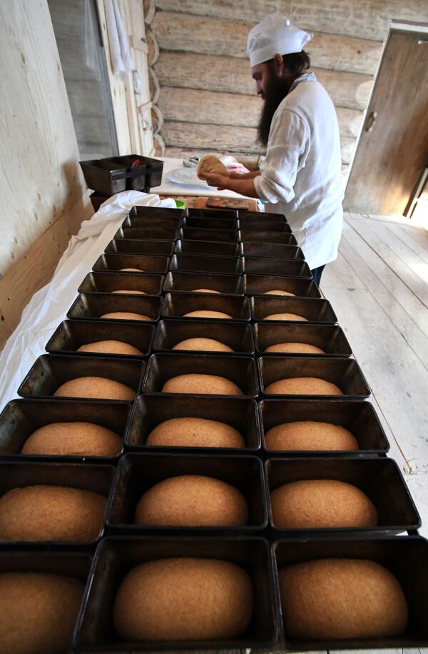 Пекарь Павел Русов раскладывает тесто по формам в пекарне Хлеб-отец - Sputnik Латвия