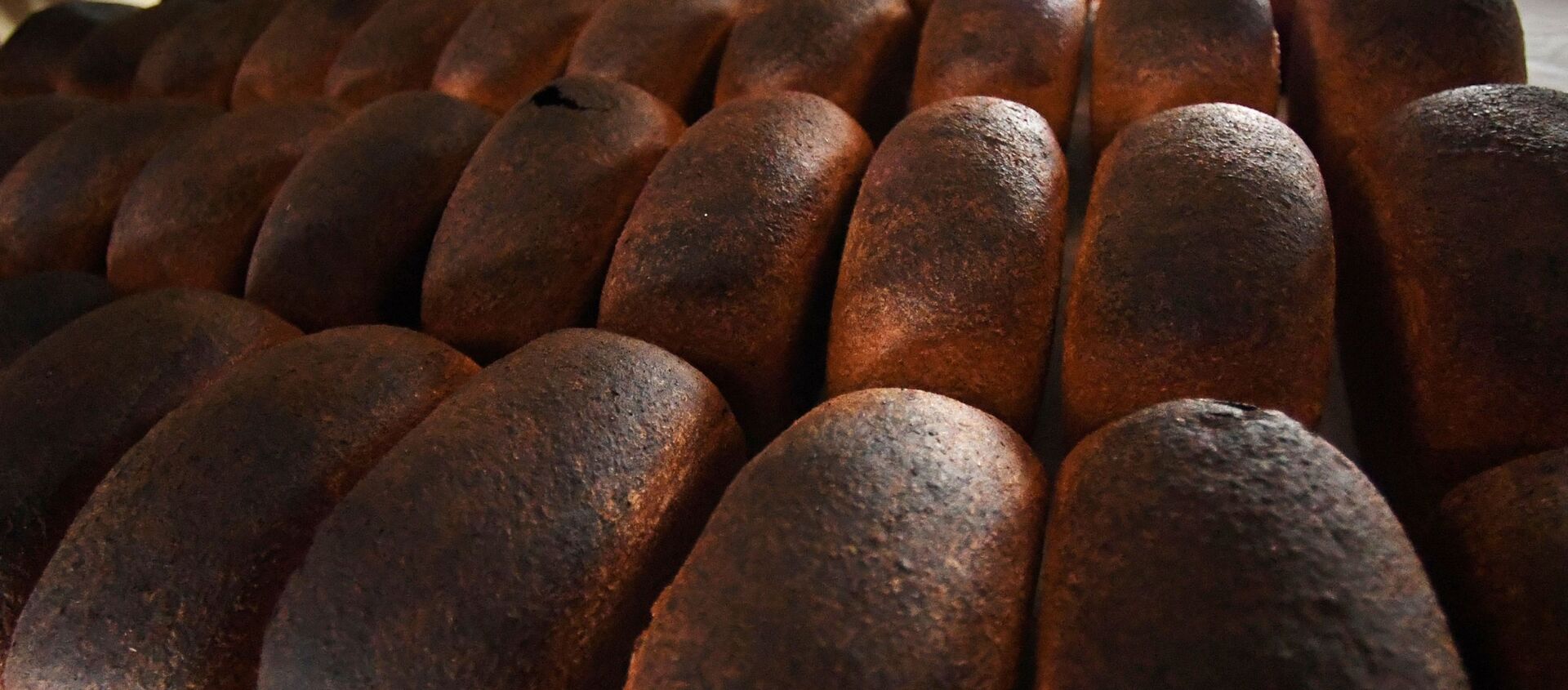 Хлеб из пекарни Хлеб-отец - Sputnik Latvija, 1920, 05.03.2019