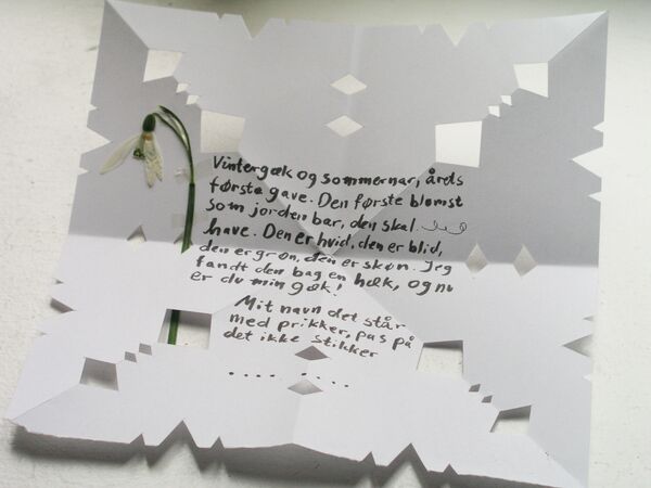 Письмо gækkebrev, которое дарят анонимно девушкам на День святого Валентина в Дании и Норвегии  - Sputnik Латвия