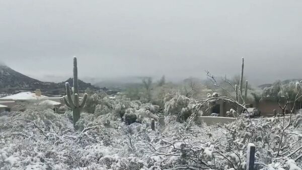 Штат Аризона завалило снегом - Sputnik Latvija