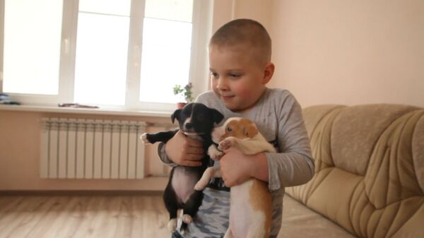 Шестилетний мальчик спасает бездомных и раненых зверей - видео - Sputnik Latvija