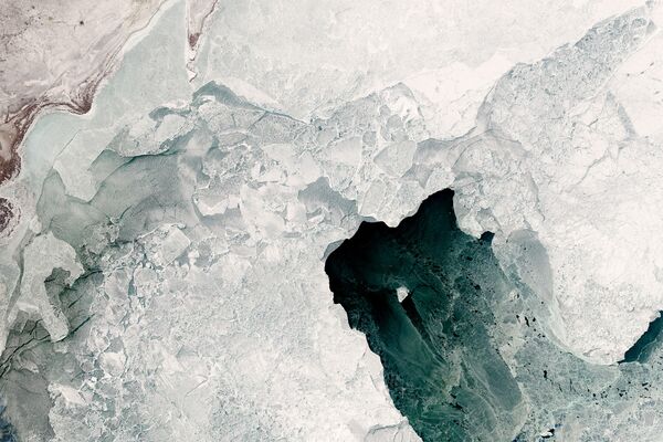 Ledus daudzveidība Kaspijas jūrā - Sputnik Latvija