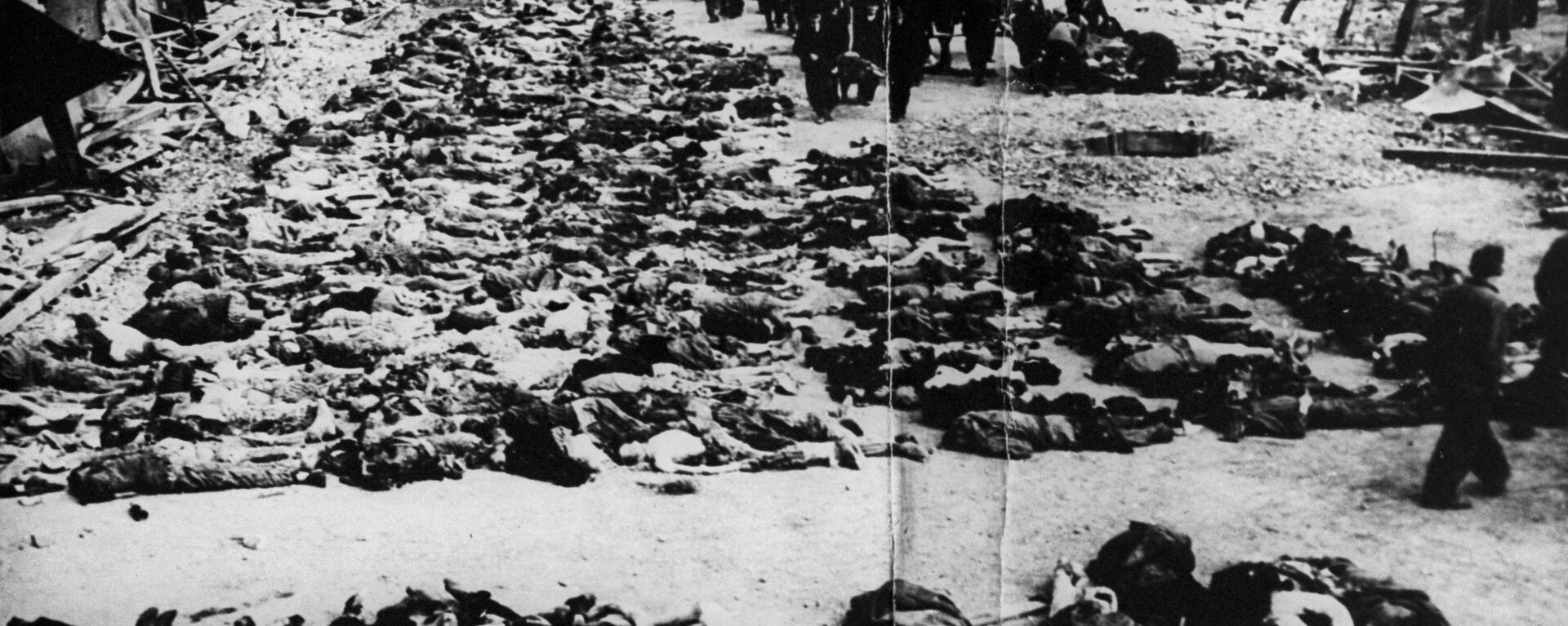 Расстрелянные в срочном порядке 2000 узников фашисткого концлагеря Клоога на территории оккупированной Эстонии во время Великой Отечественной войны, 1944 год - Sputnik Latvija, 1920, 27.05.2022