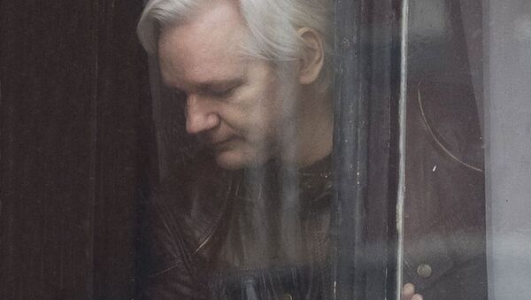 Основатель WikiLeaks Джулиан Ассанж - Sputnik Latvija