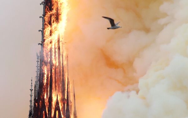 Пламя от пожара в соборе Парижской Богоматери - Sputnik Латвия