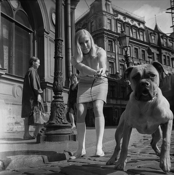 Девушка с собакой в центре Риги, 1968 год - Sputnik Латвия
