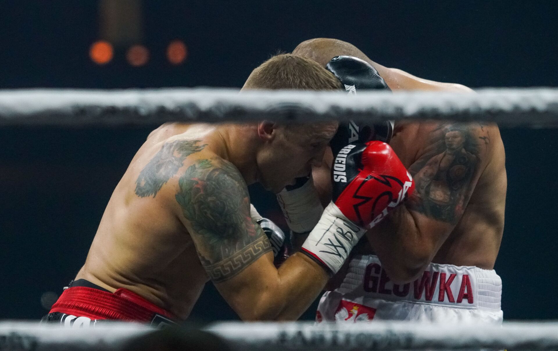 Дмитрий бивол канело альварес. Горе бокс последняя версия 15. Горе бокс последняя версия 15. Взломанный gorebox. Gorebox обнова.