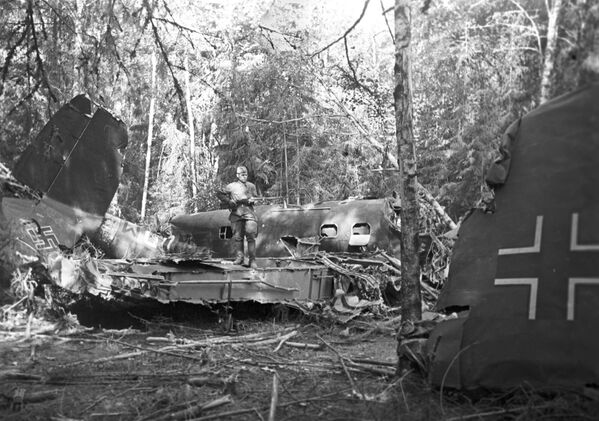 Сбитый советскими зенитчиками немецкий истребитель в подмосковном лесу - Sputnik Латвия