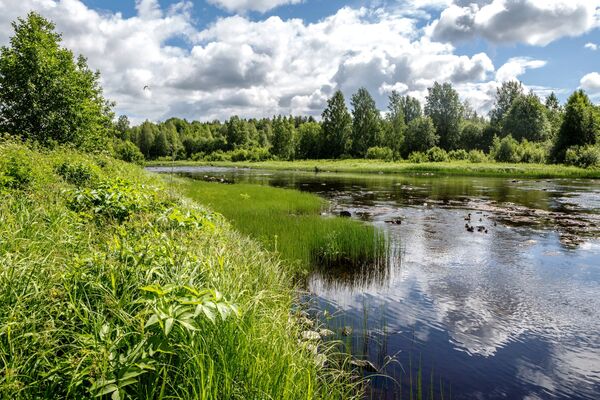 Река Пяльма в Пудожском районе Республики Карелия - Sputnik Латвия