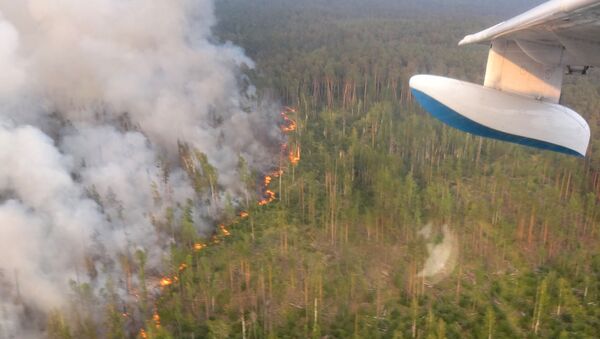 Лесной пожар в Богучанском районе Красноярского края, снятый с борта самолета Бе-200 - Sputnik Латвия