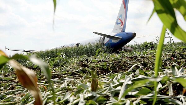 Последствия вынужденной посадки в Подмосковье лайнера Airbus А-321 авиакомпании Уральские авиалинии в результате попадания птиц в двигатели самолета - Sputnik Латвия