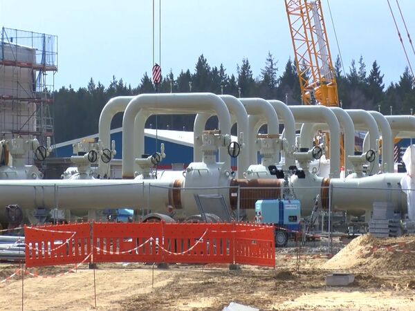 Эксперт предложил США измерить газового удава в попугаях - может, хоть так обгонят РФ Эксперт предложил США измерить газового удава в попугаях - может, хоть так обгонят РФ - Sputnik Латвия