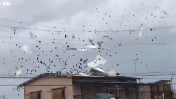 Посмотрите, как мощный тайфун в Японии уничтожает города - Sputnik Latvija