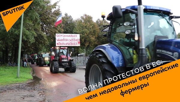 Волна протестов в ЕС: чем недовольны европейские фермеры - Sputnik Латвия