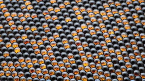 Снимок Housefly compound eye pattern румынского фотографа Dr. Razvan Cornel Constantin, занявший 16 место на фотоконкурсе Nikon Small World 2019 Снимок Housefly compound eye pattern румынского фотографа Dr. Razvan Cornel Constantin, занявший 16 место на фотоконкурсе Nikon Small World 2019 - Sputnik Латвия