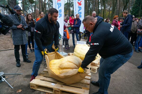 Как мечта превратилась в тыкву: самый символичный праздник Латвии Как мечта превратилась в тыкву: самый символичный праздник Латвии - Sputnik Латвия