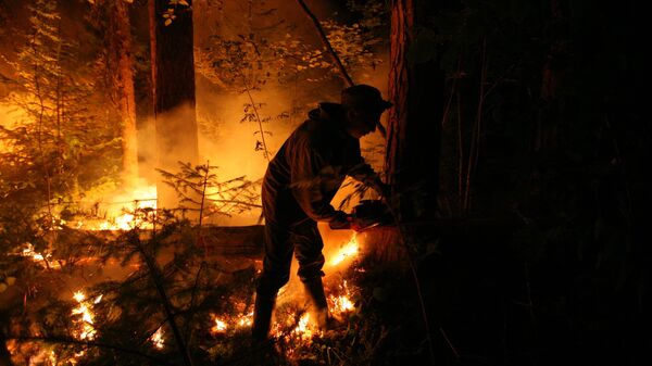 Лесной пожар - Sputnik Латвия