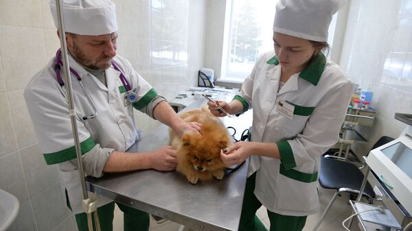 Челябинская ветеринарная станция - Sputnik Латвия
