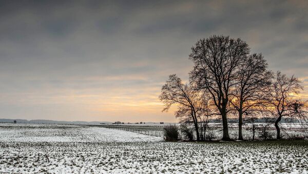 Зимнее поле, архивное фото - Sputnik Latvija