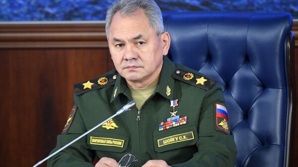 Министр обороны РФ, генерал армии Сергей Шойгу - Sputnik Латвия