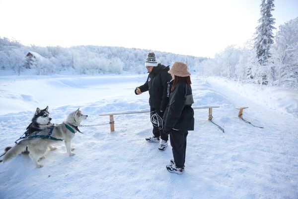 Туристы фотографируют ездовых собак в туристическом парке Северное сияние в Мурманской области - Sputnik Латвия