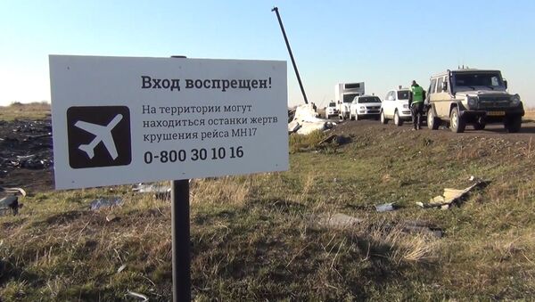 В Сети появились новые документы по делу о крушении MH17 в Донбассе - Sputnik Латвия