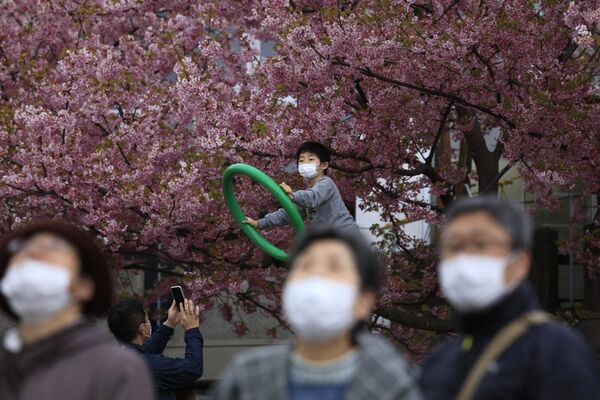 Cilvēki maskās ķiršu koka ziedēšanas festivālā Japānā - Sputnik Latvija
