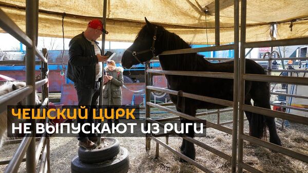 Знаменитый чешский цирк застрял в Риге. Что предприняли русские и латыши? - Sputnik Латвия