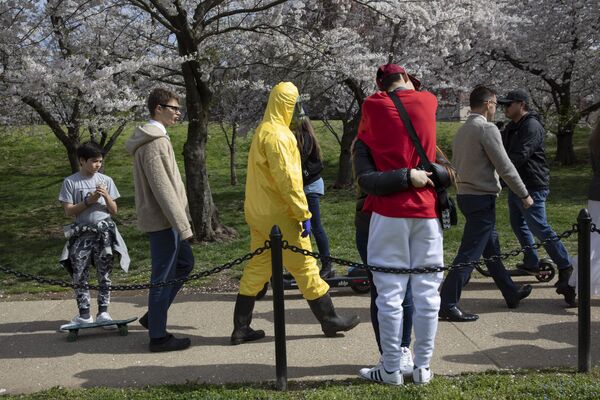 Человек в защитном желтом костюме во время цветения вишни в Вашингтоне  - Sputnik Латвия