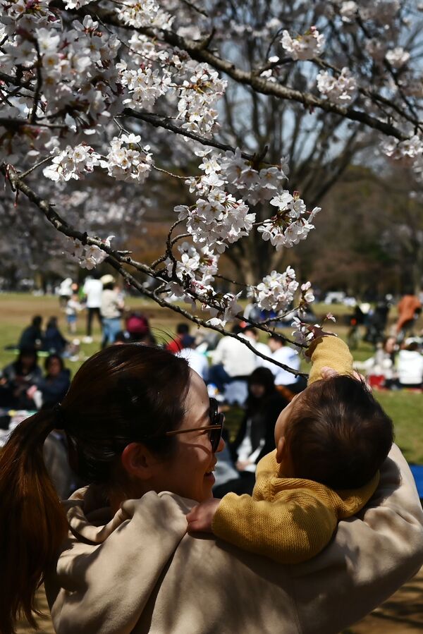 Мама с ребенком в парке во время цветения вишни в Токио  - Sputnik Латвия