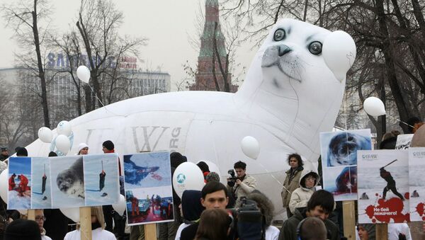 Акция в защиту тюленей Не бей лежачего! - Sputnik Латвия
