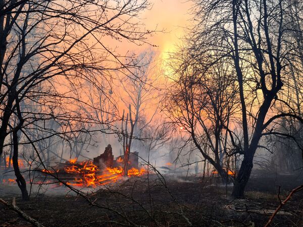 Лесной пожар в зоне отчуждения Чернобыльской АЭС - Sputnik Латвия