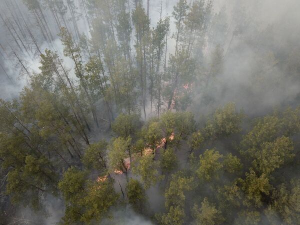 Лесной пожар - Sputnik Латвия