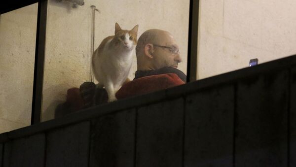Мужчина с котом в окне квартиры в Бейруте, Ливан - Sputnik Латвия