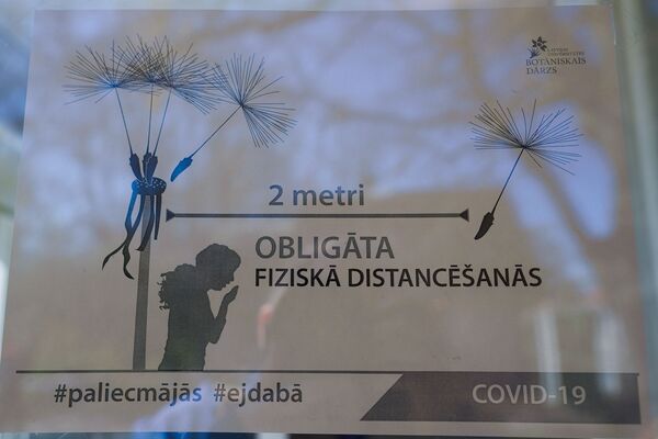 В Ботаническом саду Латвийского университета в Риге начинают цвести рододендроны и другие растения - Sputnik Латвия