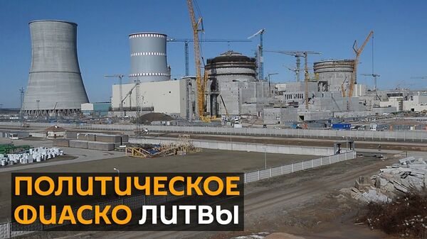 Рекеда: Минску есть чем приструнить Литву в истории с БелАЭС Рекеда: Минску есть чем приструнить Литву в истории с БелАЭС - Sputnik Латвия
