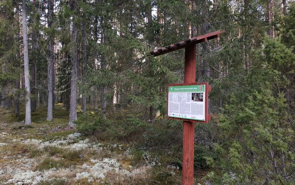 Благодаря этой табличке, обнаруженной в лесу на приличном расстоянии от памятника, удалось хоть что-то прояснить - Sputnik Латвия