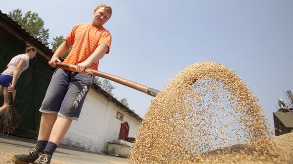 Уборка урожая зерновых. Архивное фото - Sputnik Latvija