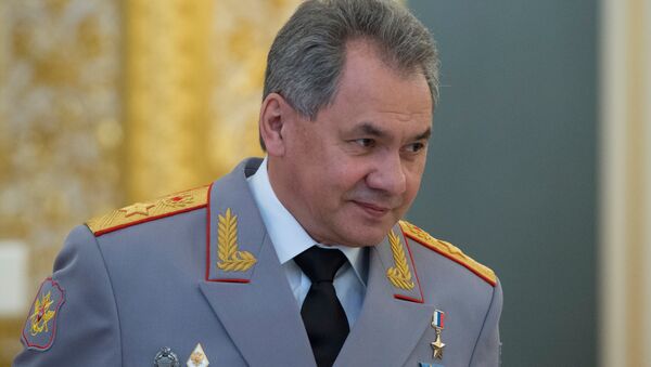 Министр обороны РФ Сергей Шойгу - Sputnik Latvija