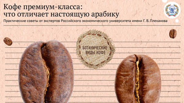 Кофе премиум-класса: как отличить настоящую арабику - Sputnik Латвия