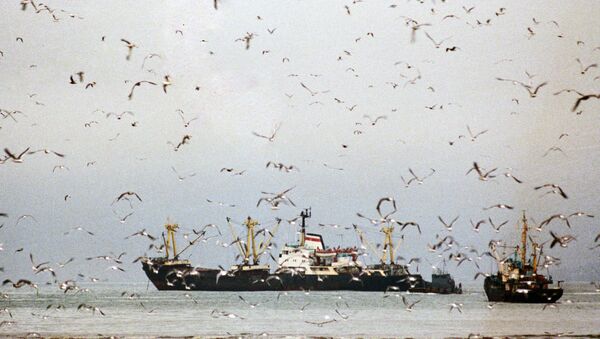 Рыболовецкие судна в море - Sputnik Латвия