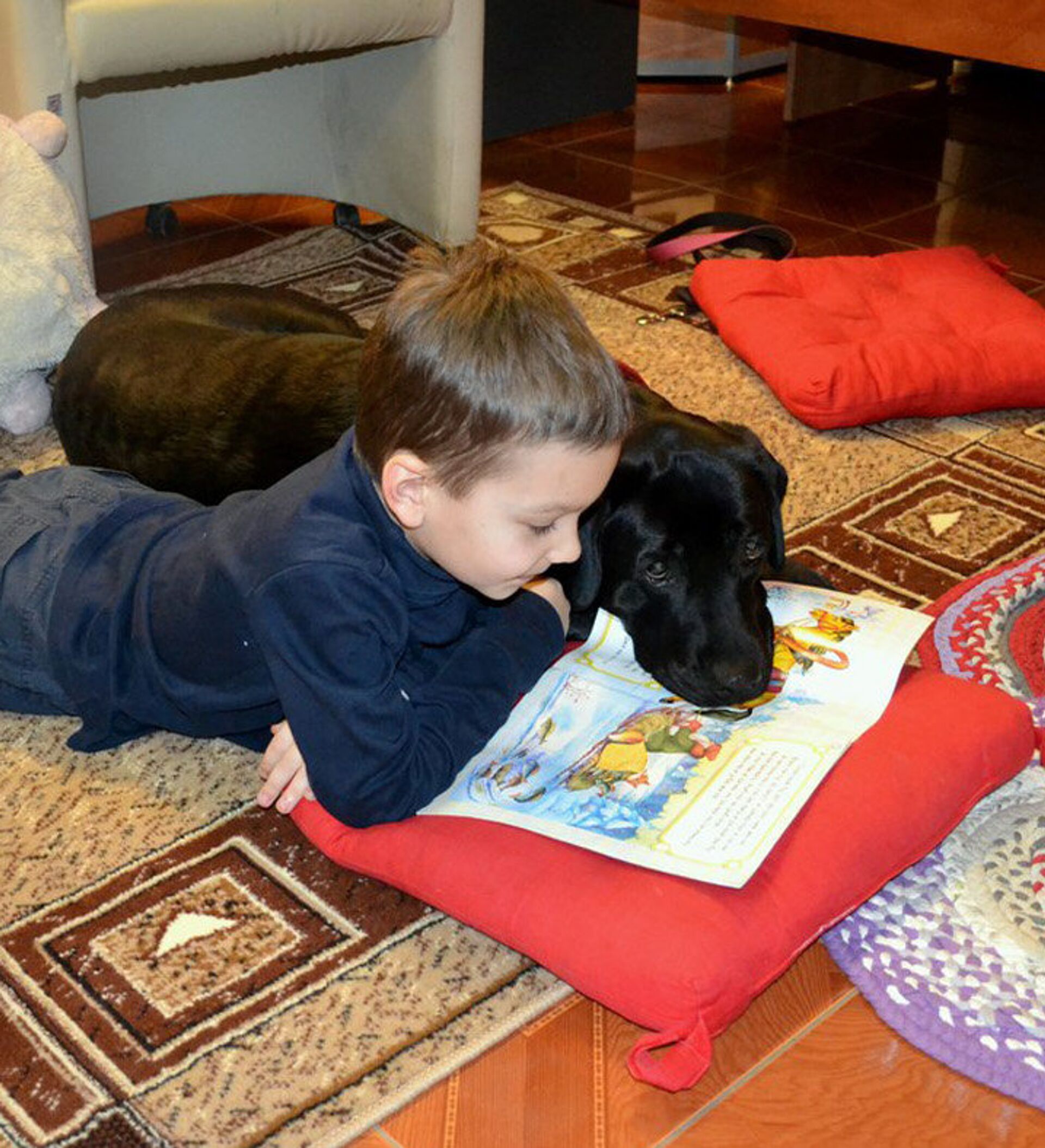 Дети читают собаке. Дети чтение собаки. Ребенок читает собаке. Чтение с собакой. Собака читает книгу.
