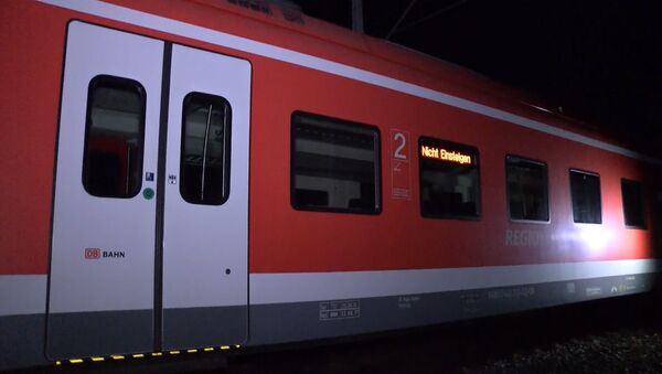 Мужчина с топором напал на пассажиров поезда в Германии. Кадры с места ЧП - Sputnik Латвия