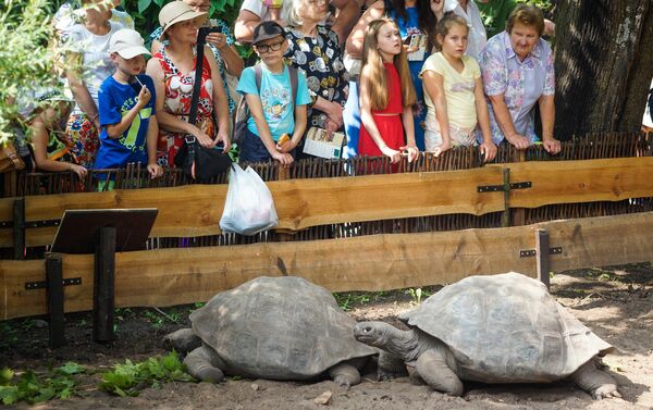 Традиционное взвешивание черепах в Рижском зоопарке - Sputnik Латвия
