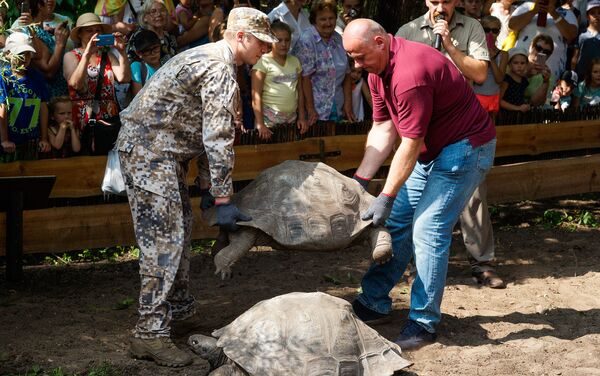 Традиционное взвешивание черепах в Рижском зоопарке - Sputnik Латвия