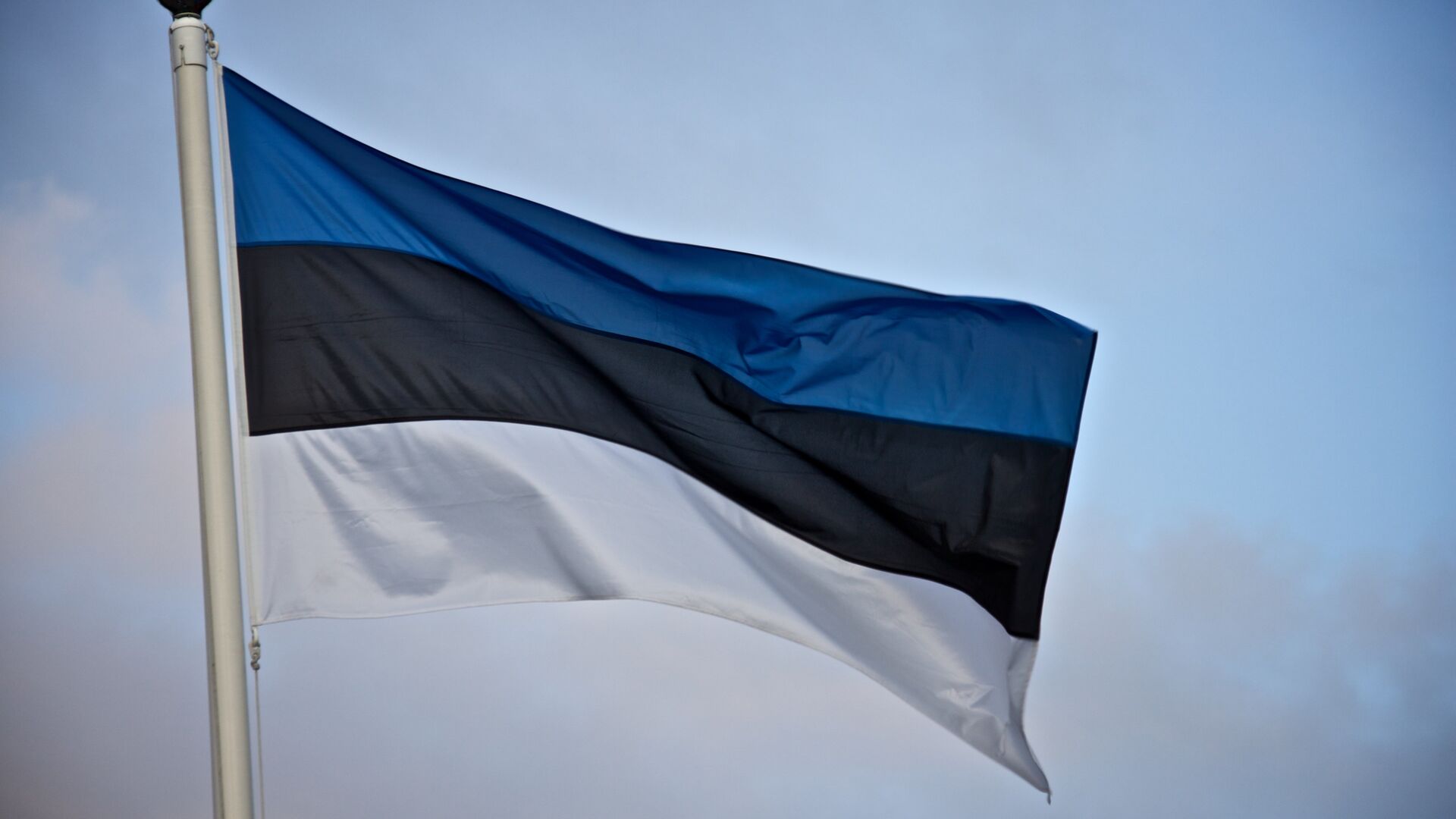 Эстонский флаг. Иллюстративное фото. - Sputnik Латвия, 1920, 08.11.2022