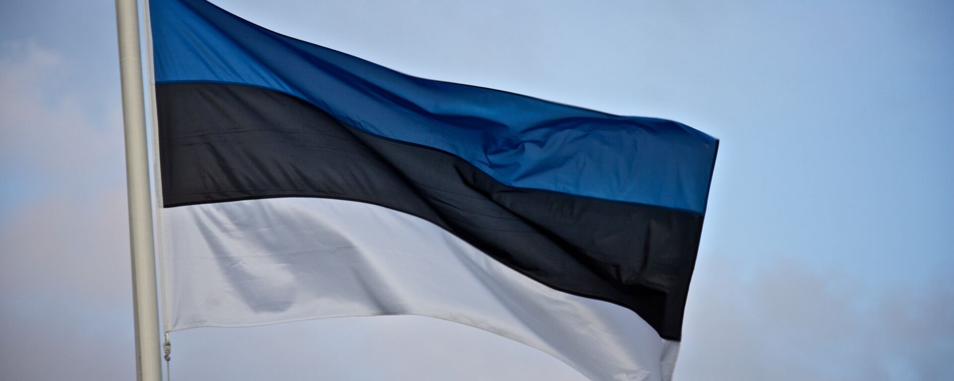 Эстонский флаг. Иллюстративное фото. - Sputnik Латвия, 1920, 01.08.2022