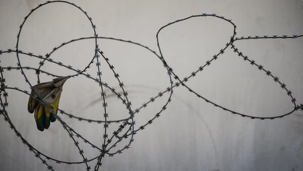 Mediji: Vācija vēlas pagarināt pastiprinātos robežkontroles pasākumus - Sputnik Latvija